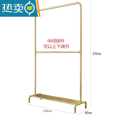 敬平多层衣架落地卧室家用挂衣服架子网红晾衣架省空间简易收纳置物架 双层可调节:带板长120高220纳米金