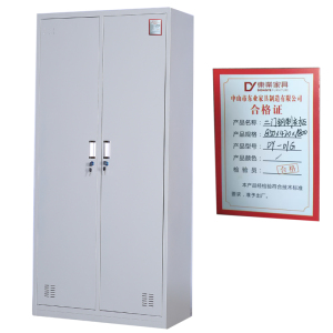 东业家具 办公文件柜二门钢制更衣柜 铁皮柜DY-01G (850*420*1800)个