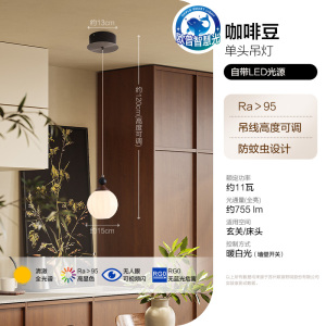 欧普北欧风格灯具餐厅灯吊灯现代简约餐厅吊灯创意全光谱咖啡豆