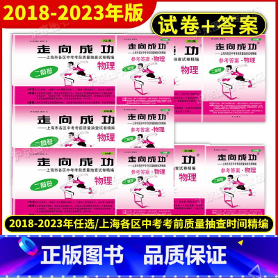 2024中考二模 物理[试卷+答案] 上海 [正版]2018-2024年版走向成功上海中考二模卷物理 试卷+答案 202