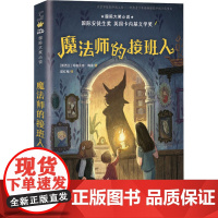 魔法师的接班人 新蕾出版社 (新西兰)玛格丽特·梅喜 著 郭红梅 译