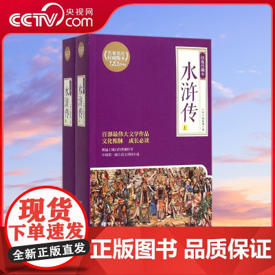 [央视网]水浒传 绣像珍藏本 四大古典名著岳麓书社 文学作品 文学评论与研究 TJ