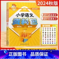 小学语文资料包精华本(通用) [正版]2024秋25新版小考专家小学语文资料包精华本通用版三四五六年级小升初资料包大集结
