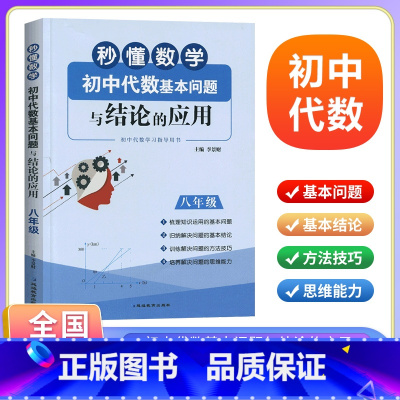 数学 八年级 [正版]秒懂数学初中代数基本问题与结论的应用八年级 8年级上下册数学新思维同步强化训练练习题 初二代数专项
