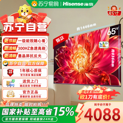 海信电视小墨65E5Q Pro 65英寸 560分区U+MiniLED 信芯芯片抗反光防眩光墨晶屏