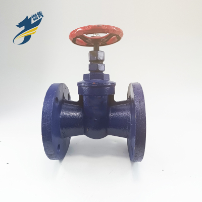 伽隽 法兰闸阀 暗杆软密封DN65/ 个