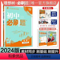 化学 沪教版 九年级上 [正版]理想树2024新版初中必刷题九年级上册化学沪教版HJ初中同步练习九年级化学教辅资料配赠狂