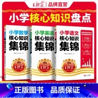 王朝霞小学核心知识集锦[语文+数学+英语] 小学通用 [正版]阅读理解100篇答案超详解一百篇小学生语文阅读训练一二三四