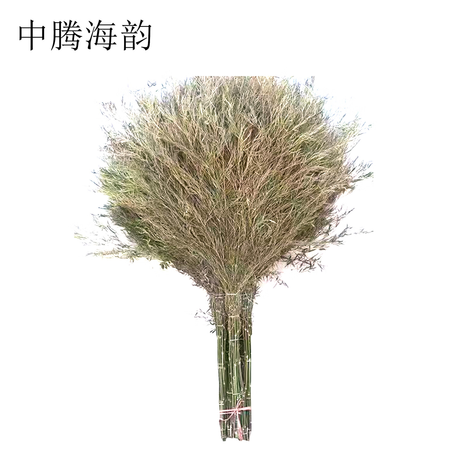 中腾海韵中腾海韵 竹扫把 80cm*240cm 单位:把