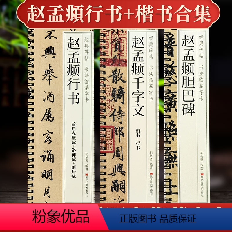 [正版]共3册 赵孟頫经典碑帖书法近距离临摹字卡合集 胆巴碑前后赤壁赋洛神赋闲居赋千字文原大全文赵孟俯赵体行书楷书毛笔