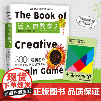迷人的数学2 激发你的创意大脑 享誉世界的智力游戏专家 学生之爱 家长明智之选 从不同角度全方位开发大脑 锻炼数学思
