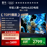 雷鸟 鹤6 25款 65英寸MiniLED电视 家电国家补贴 288Hz 4+64GB 一级能效智能电视机65S595C
