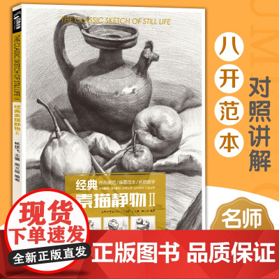 经典全集 素描静物组合临摹书籍美术基础技法结构到位绘画册写生照片风暴高艺联考主导陈敲平门砖教程材4大8开范本正版杨建飞