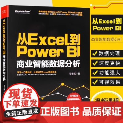 正版从Excel到Power BI 商业智能数据分析 PowerBI入门书 Power BI操作教程 Power Que