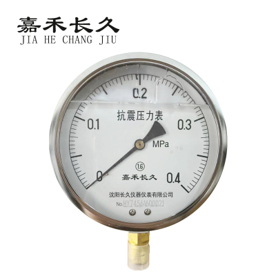 嘉禾长久 耐震压力表检测型 YTN150 块