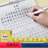 [正版]初中必背古诗文132篇字帖练字七年级八年级九年级上册下册语文楷书正楷行楷控笔训练练字帖初一二初中生文言文古诗词