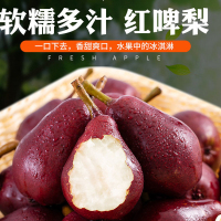 托盘装[熊猫鸟]陕西红啤梨净重2.8斤 大果 单果100g左右 当季水果梨子新鲜红皮彩虹香软糯梨太婆啤酒梨整箱