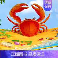 [正版]儿童3d立体书神秘的海洋 幼儿早教书籍启蒙认知翻翻书0-1-2-3-6岁撕不烂宝宝早教书本 奇趣科普立体书儿童绘
