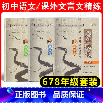 课外文言文精练 678年级[全3册] 初中通用 [正版]任选 魅力语文 初中课外文言文精练 启蒙篇+基础篇+提高篇 六七