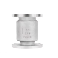 盛京联硕不锈钢立式止回阀DN100 [4寸]304材质台