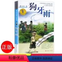 [正版]狗牙雨书籍 曹文轩纯美小说系列 儿童励志文学小说非注音版中小学生课外阅读书籍三四五六年级6-7-9-10-12