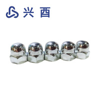 兴酉 不锈钢盖型螺母 M3 个