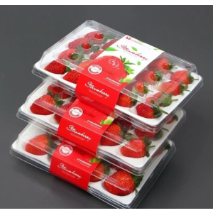 顺丰快递[熊猫鸟]彩箱装 四川正宗大凉山露天草莓 中果 单果20g左右 净重1.2斤 (300g*2) 吸塑盒
