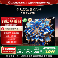 长虹欧宝丽65Z70H 内置分舱回音壁电视 双驱16晶MiniLED 云帆AI影像4K超高清平板液晶电视政府补贴