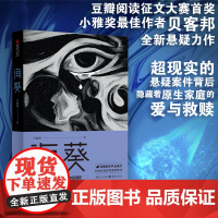 海葵 贝客邦 悬疑推理《消失的孩子》《消失的人》原著小说