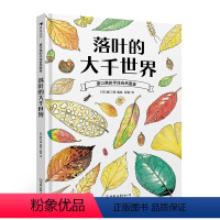 落叶的大千世界 [正版]浪花朵朵 盛口满的手绘自然图鉴:落叶的大千世界 7-10岁 落叶植物 日本童书研究会 科普百科绘
