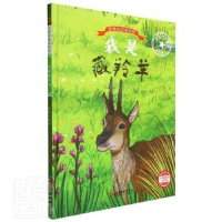 正版新书]我是藏羚羊 美绘版编者:李硕|责编:陈一9787551436496