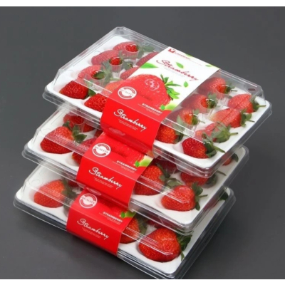 顺丰快递[熊猫鸟]彩箱装 四川正宗大凉山露天草莓 小果 单果15g左右 净重2.4斤 (300g*4) 新鲜水