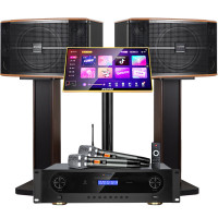 山水(SANSUI)FK-101 家用电视客厅音响套装 大音箱 [推荐]FK101三分频10单元+功放+话筒+3T