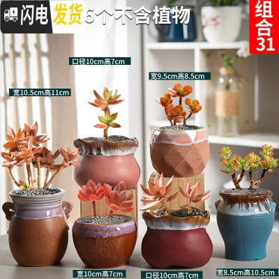 三维工匠多肉花盆套装组合粗陶透气复古陶瓷小盆创意肉肉花盆 其他颜色组合31 中等花盆容器