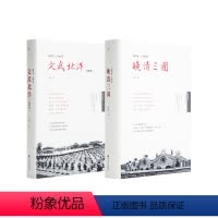 [正版]套装 李洁作品 2册 文武北洋 晚清三国 书 历史 理想国理想国