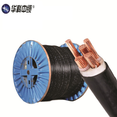 华科中缆 铜芯低压线WDZN-YJV22-0.6/1KV-4×95+1×50 米