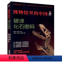 [正版]博物馆里的中国:破译化石密码大字护眼版万有引力博物馆气味博肖博物馆文物讲述中华文明史让成人品鉴文物 让孩子读懂