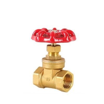 伟鹏双兴 加长黄铜铜闸阀 DN25(1寸) 台