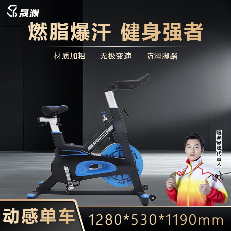 晟渊 家用动感单车健身车家用脚踏车室内运动自行车锻炼健身器材 YP0264