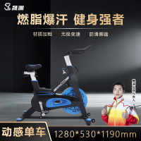 晟渊 家用动感单车健身车家用脚踏车室内运动自行车锻炼健身器材 YP0264