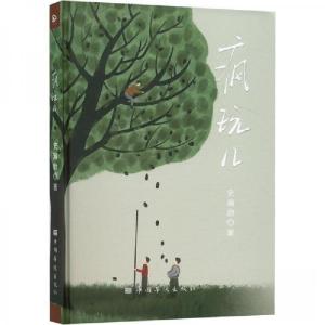 正版新书]疯玩儿史瀚勍9787511388810