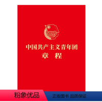 [正版]10册套装2023年共青团十九大新修订版团章中国共产主义青年团章程 64开红皮便携本 团的基层组织制度经费团旗
