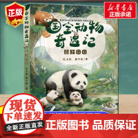动物奇遇记熊猫团团小学四五六年级2022暑假读一本好书动物小说大王沈石溪著作游遍 公园大象的远方在母亲期待的眼光里成长