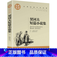 契诃夫短篇小说集 [正版]名著任选初中生世界名着全套原着书籍小说经典儿童文假如给我三天光明昆虫记爱的教育海底两万里简爱中