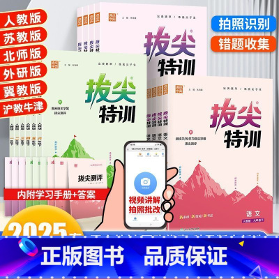 语文[人教版] 一年级下 [正版]2025春 拔尖特训一年级三年级上册四年级上册二年级上五六年级下册同步训练英语拔尖特训
