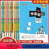 [全套科目]9本 初中通用 [正版]2024版初中学霸笔记语文数学英语物理化学政治历史生物文言文全彩版地理湘教版七八九年