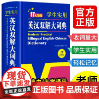 正版2025新版 学生实用英汉双解大词典 大开双色版 小学生初中高中大学生英语词典字典初阶中高阶牛津单词词汇语法大全 初