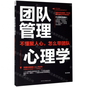 [N]团队管理心理学-9787515826301