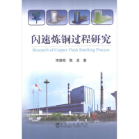 醉染图书闪速炼铜过程研究9787502460440
