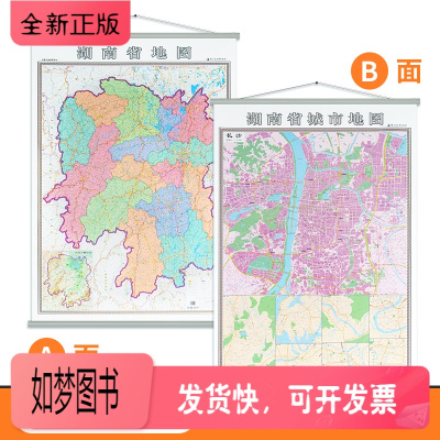 正版新书-双面版-新版湖南省地图挂图长沙城区图高清印刷防水覆膜1.4米*1米办公室家用地图